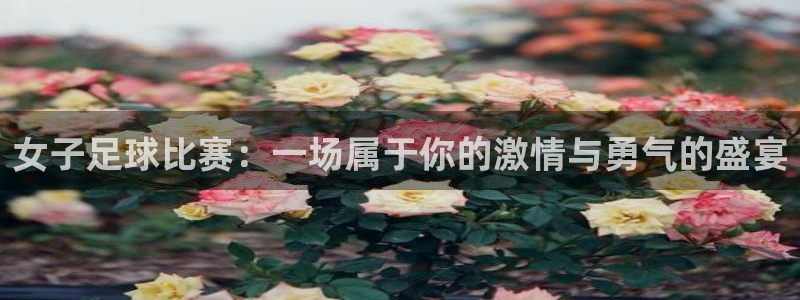  女子足球比赛：一场属于你的激情与勇气的盛宴