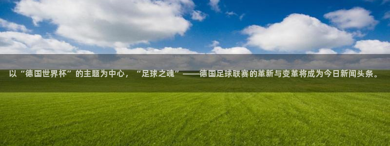 以“德国世界杯”的主题为中心，“足球之魂”——德国足球联赛的