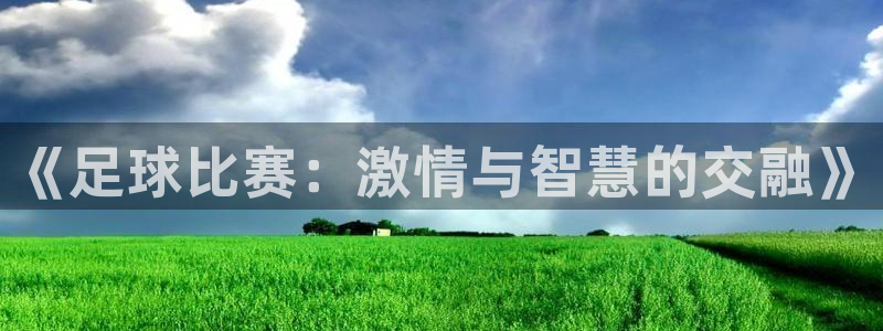《足球比赛：激情与智慧的交融》
