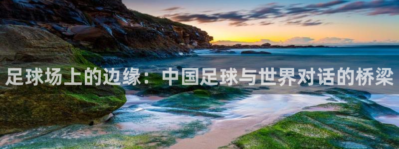 足球场上的边缘：中国足球与世界对话的桥梁