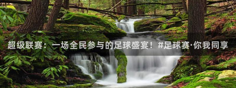  超级联赛：一场全民参与的足球盛宴！#足球赛·你我同享