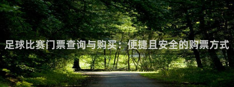 足球比赛门票查询与购买：便捷且安全的购票方式