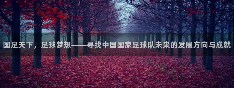 国足天下，足球梦想——寻找中国国家足