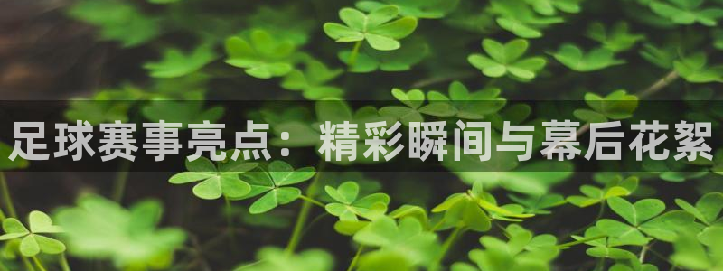 足球赛事亮点：精彩瞬间与幕后花絮