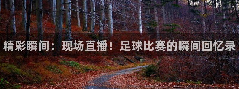 精彩瞬间：现场直播！足球比赛的瞬间回