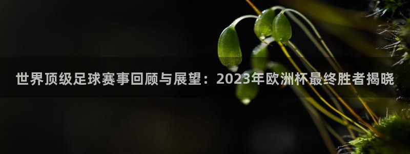 世界顶级足球赛事回顾与展望：2023