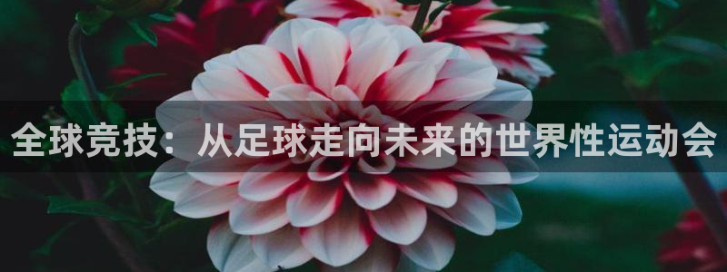 全球竞技：从足球走向未来的世界性运动