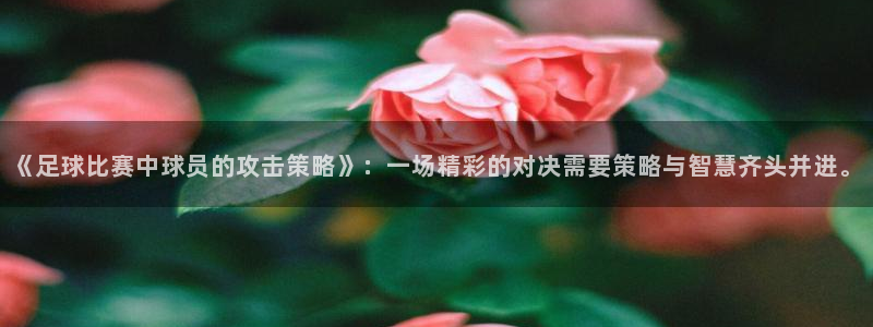 《足球比赛中球员的攻击策略》：一场精