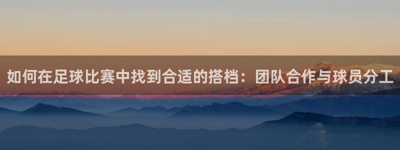 如何在足球比赛中找到合适的搭档：团队