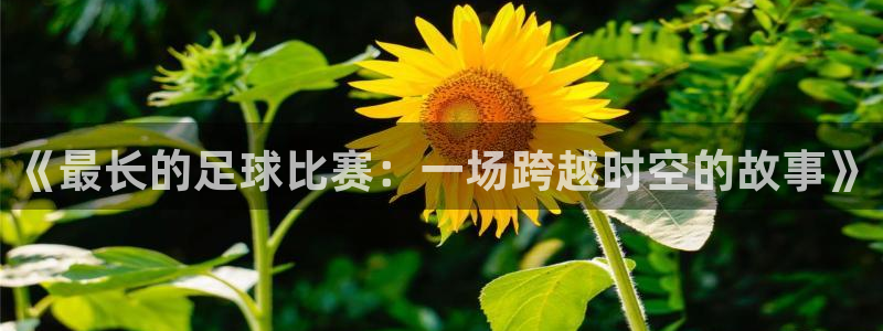 《最长的足球比赛：一场跨越时空的故事