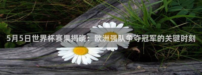 5月5日世界杯赛果揭晓：欧洲强队争夺