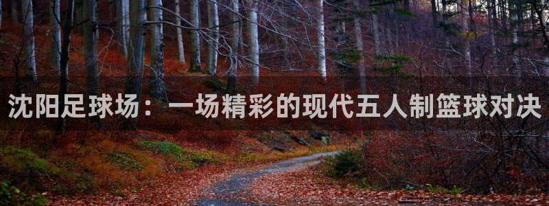 沈阳足球场：一场精彩的现代五人制篮球