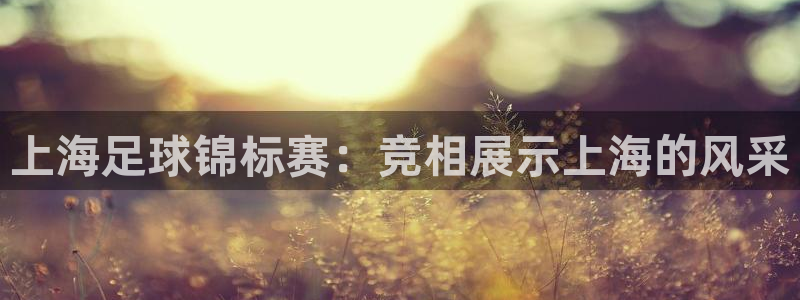 上海足球锦标赛：竞相展示上海的风采