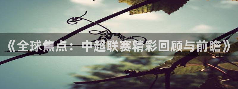 《全球焦点：中超联赛精彩回顾与前瞻》