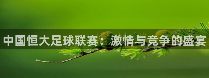 中国恒大足球联赛：激情与竞争的盛宴