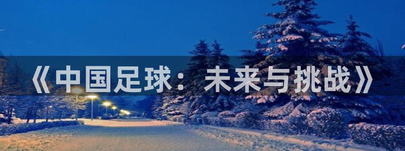 《中国足球：未来与挑战》
