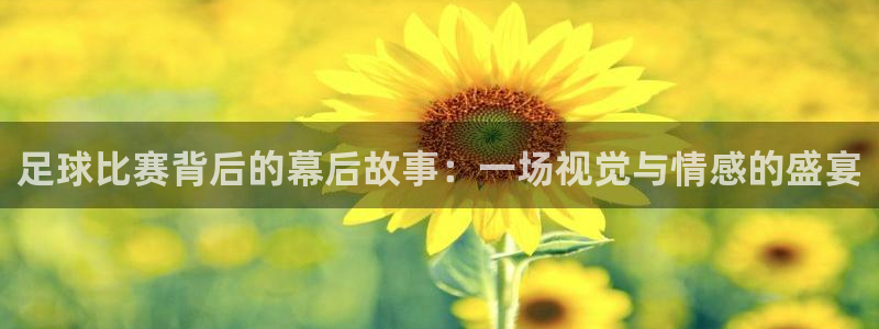 足球比赛背后的幕后故事：一场视觉与情