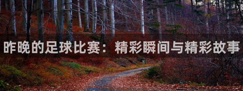 昨晚的足球比赛：精彩瞬间与精彩故事