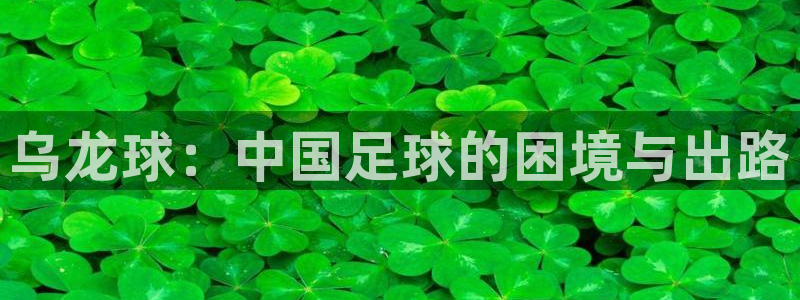 乌龙球：中国足球的困境与出路