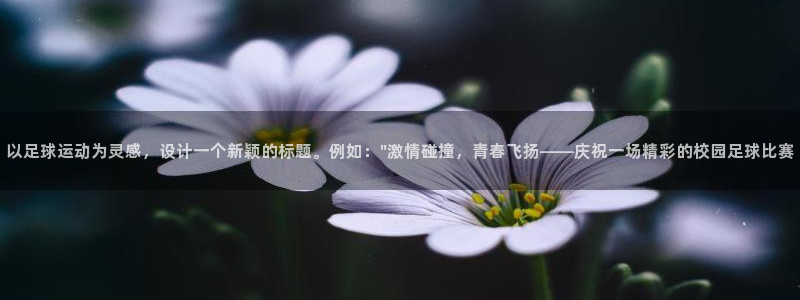 以足球运动为灵感，设计一个新颖的标题